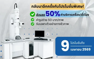 กลับมาอีกครั้งกับโปรโมชั่นพิเศษ! TEM Model : JEOL JEM-1400